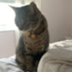 Meet your Posher, Mackenzie